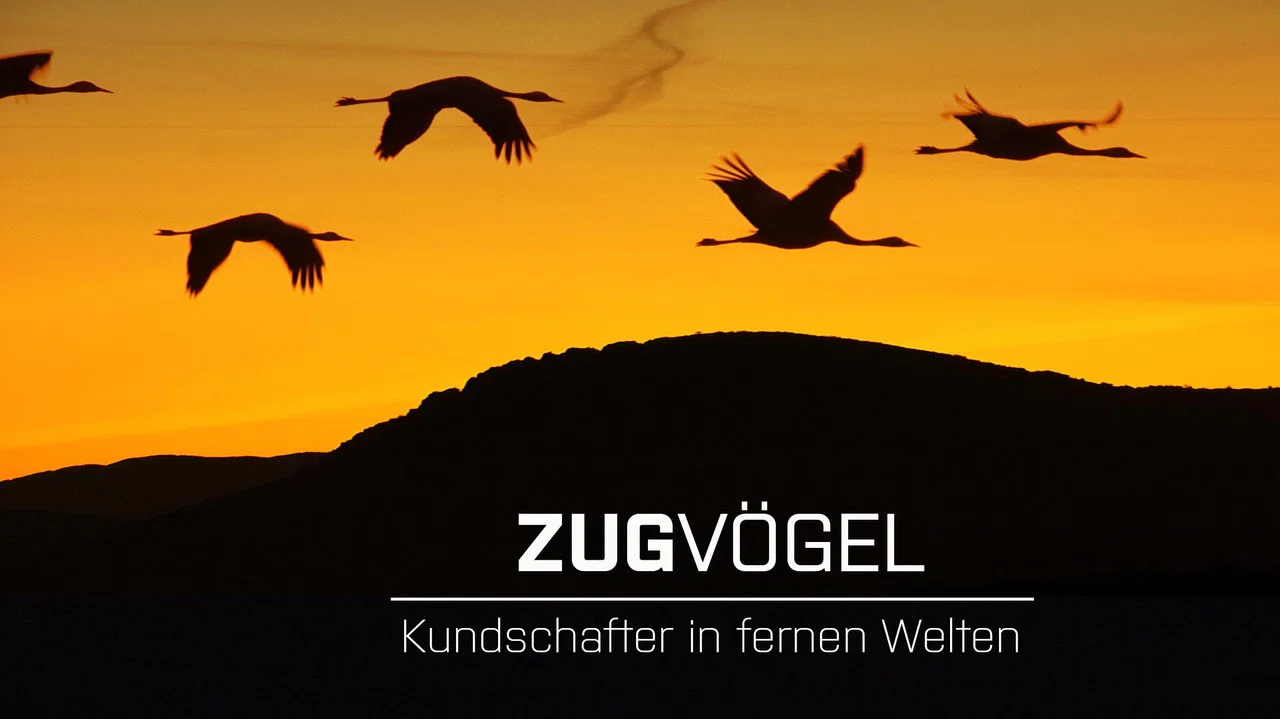 Zugv&ouml;gel - Kundschafter in fernen Welten - 剧照