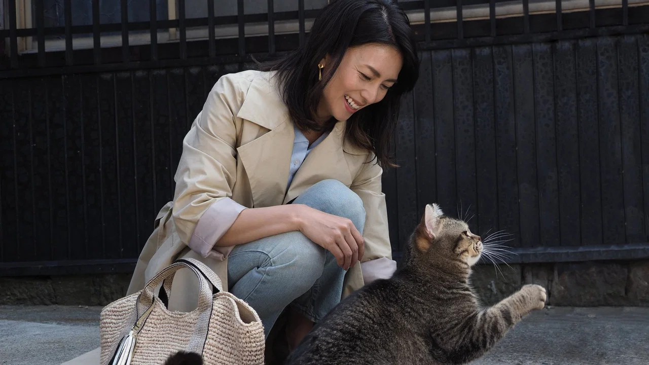 猫与爷爷 - 剧照