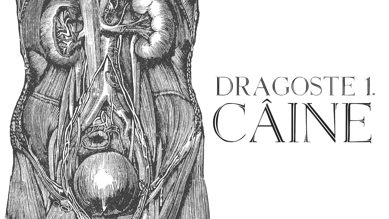 Dragoste 1. C&acirc;ine - 剧照
