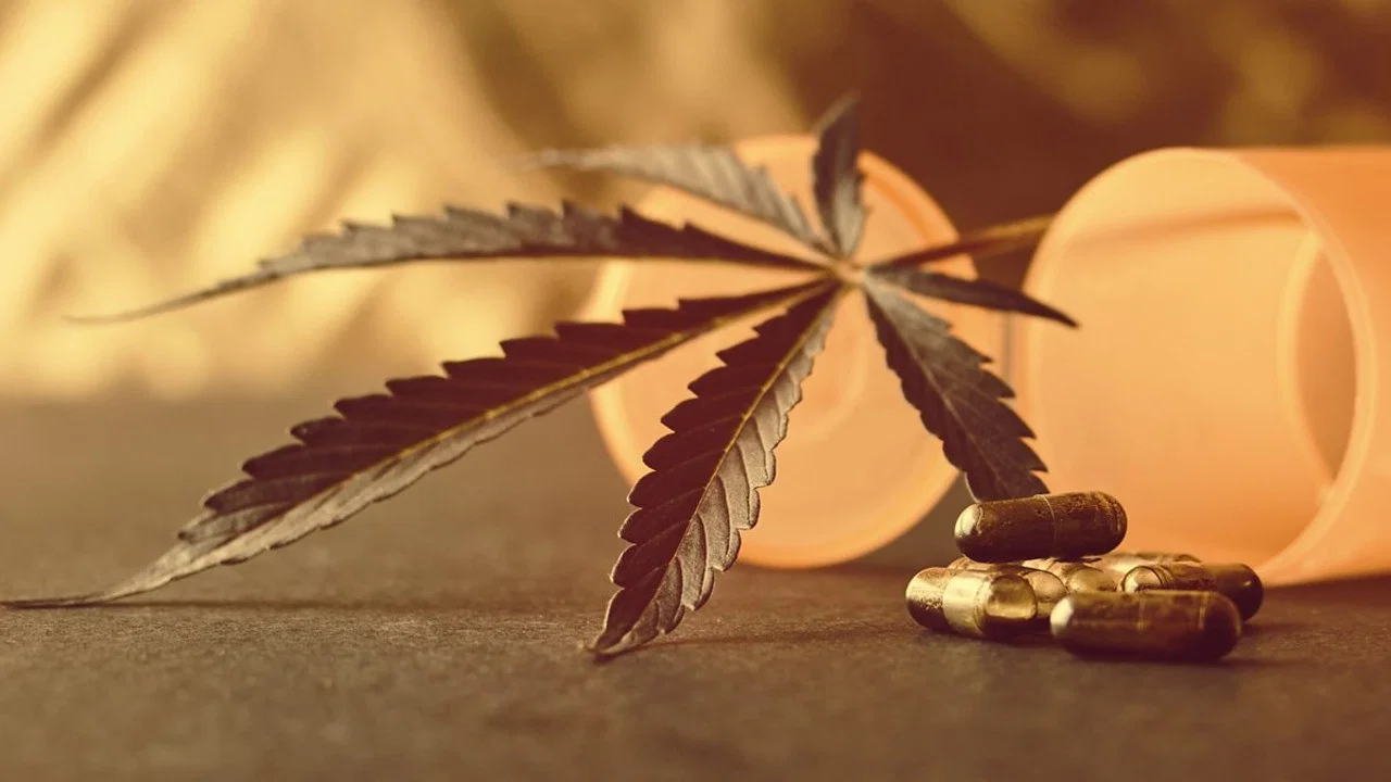 Cannabis: Prescription Pot Luck? - 剧照