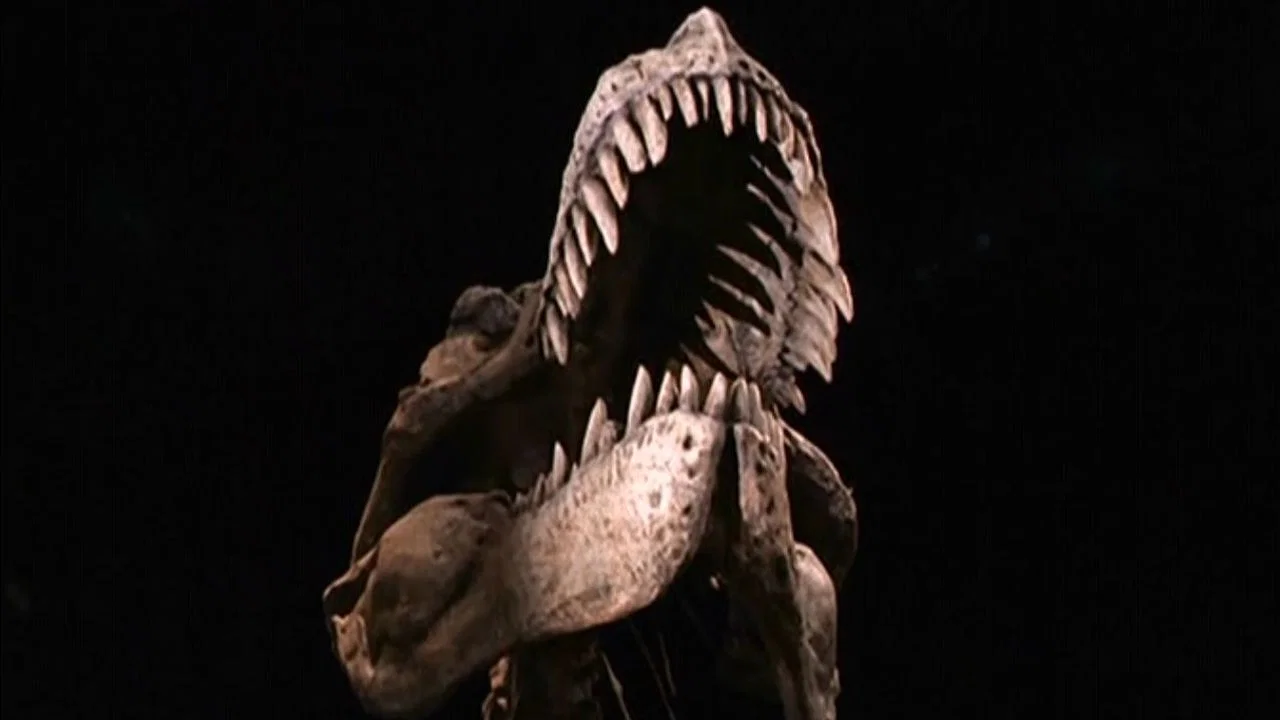 The Dinosaur Hunter - 剧照