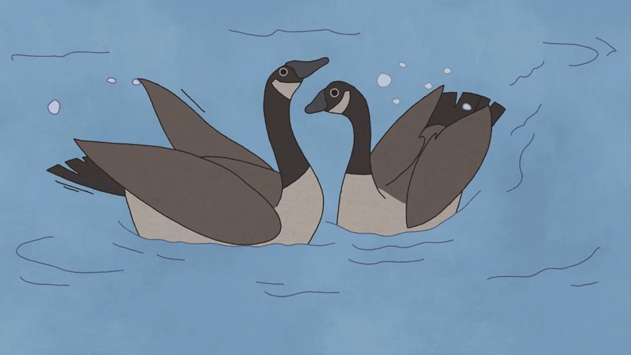 Hudson Geese - 剧照