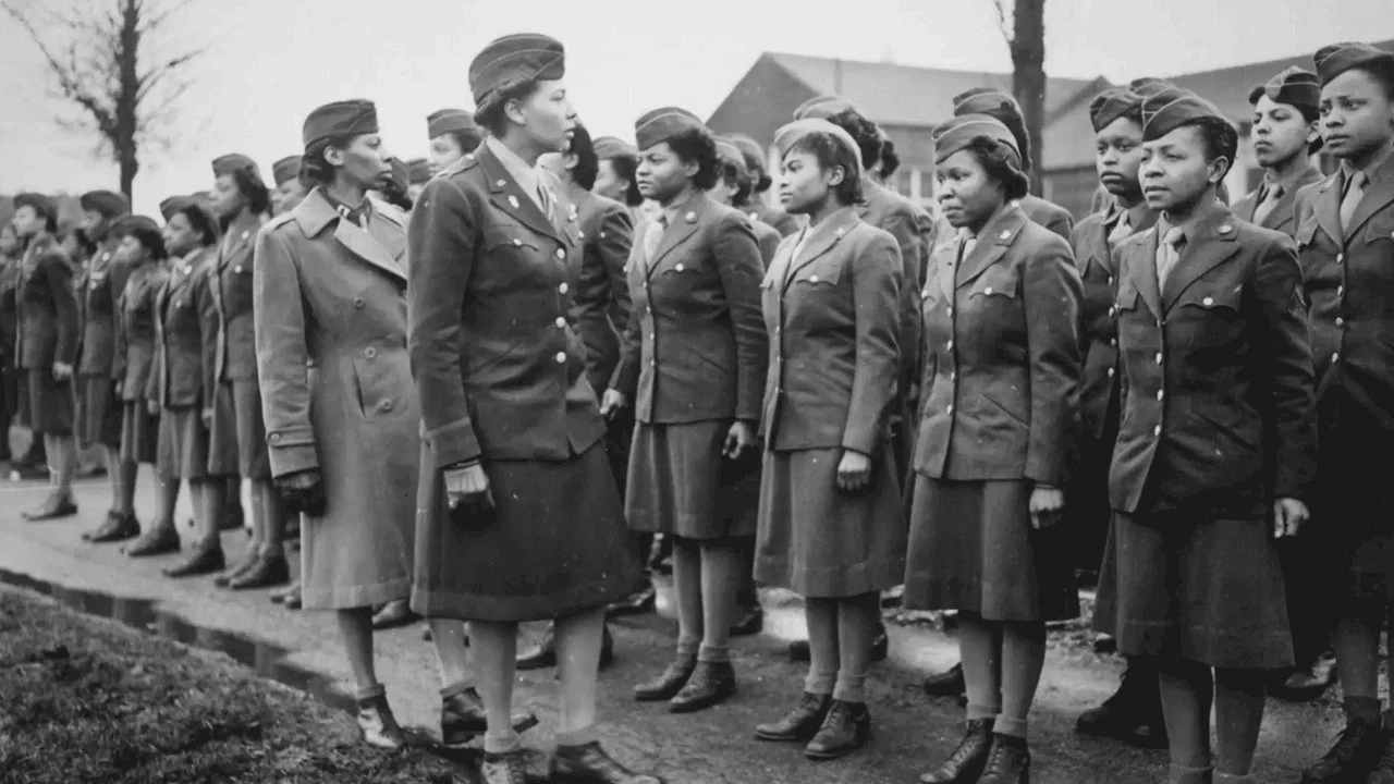 Her War, Her Story: World War II - 剧照
