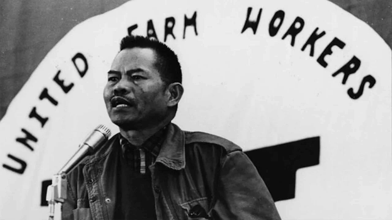 The Delano Manongs: Forgotten Heroes Of The United Farm Workers Movement - 剧照