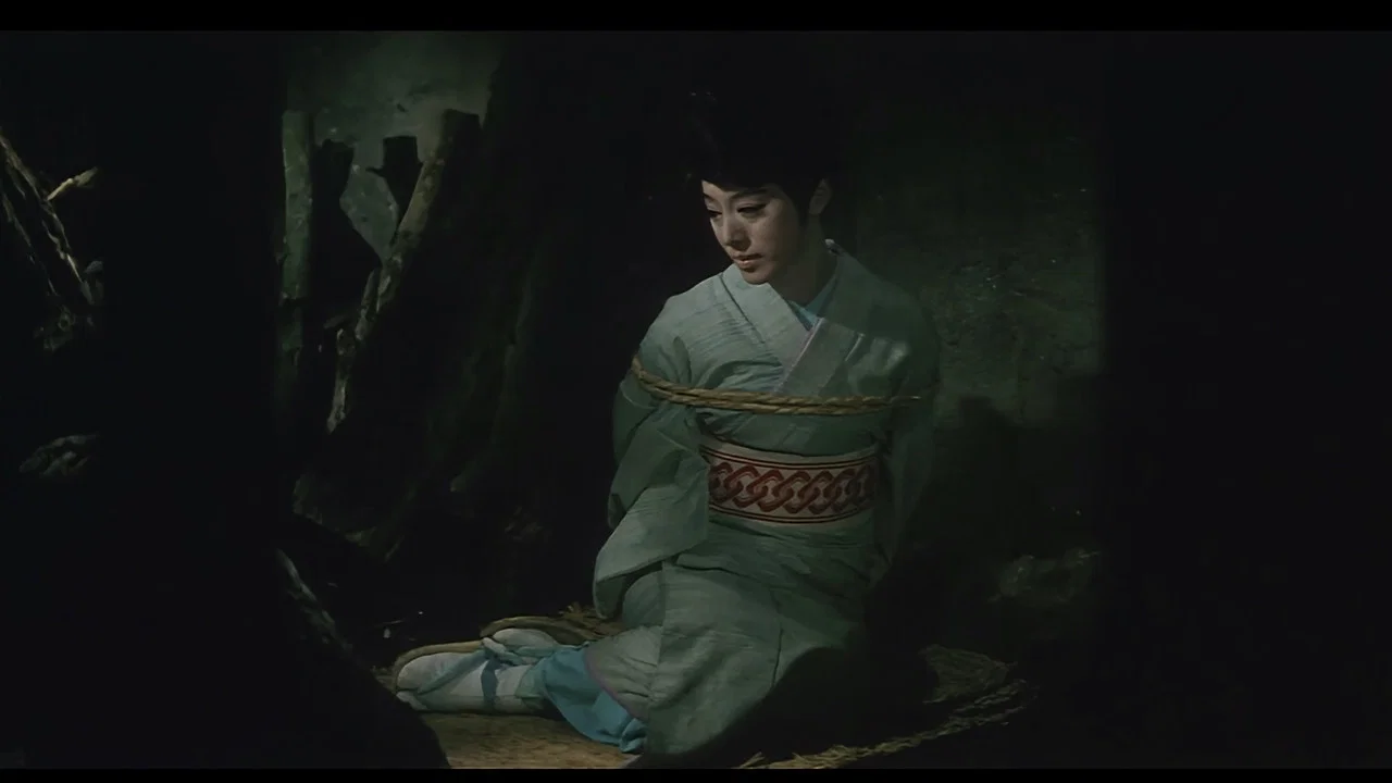 侠骨丹心盲女剑 - 剧照