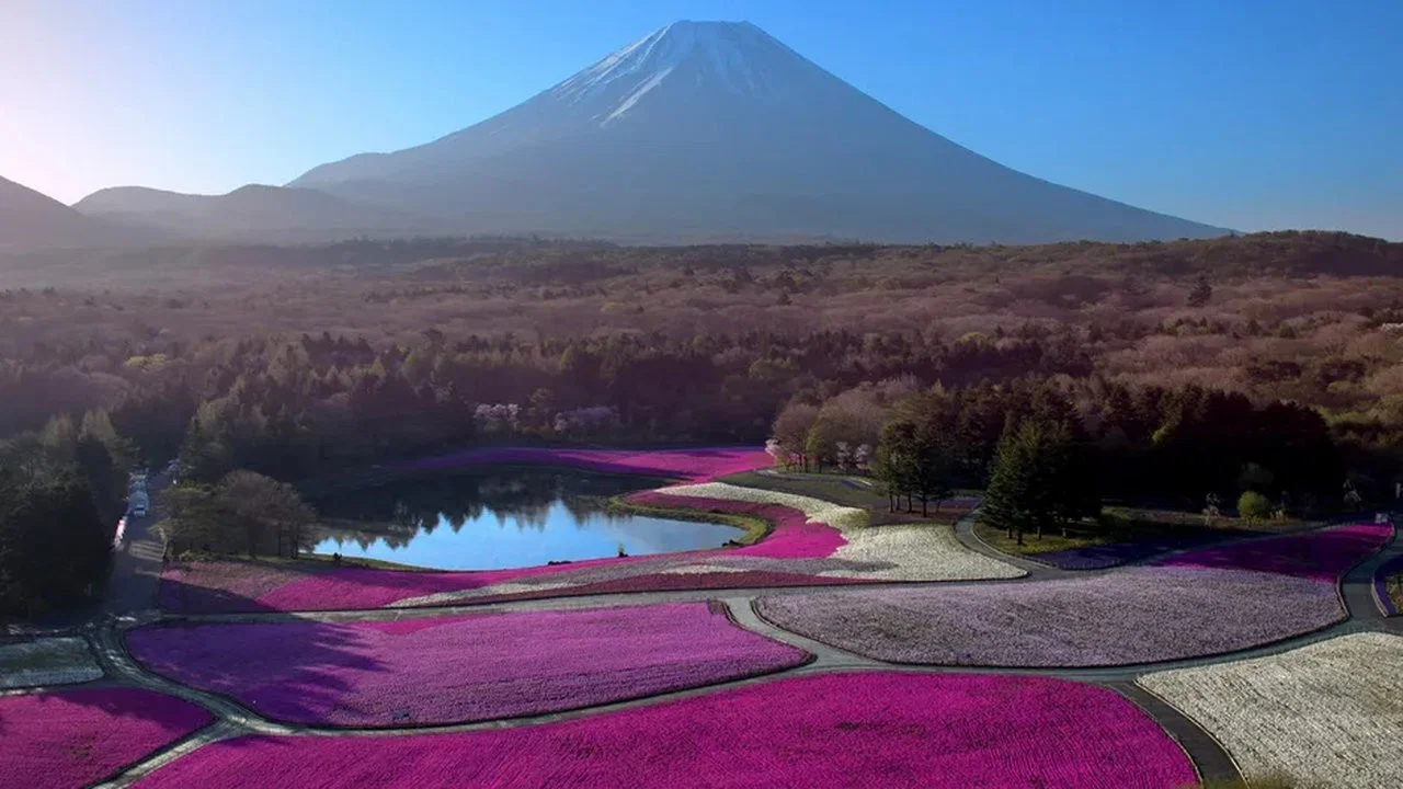 Japon, aux racines du soleil - 剧照