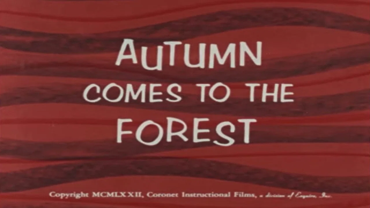 Autumn Comes to the Forest - 剧照