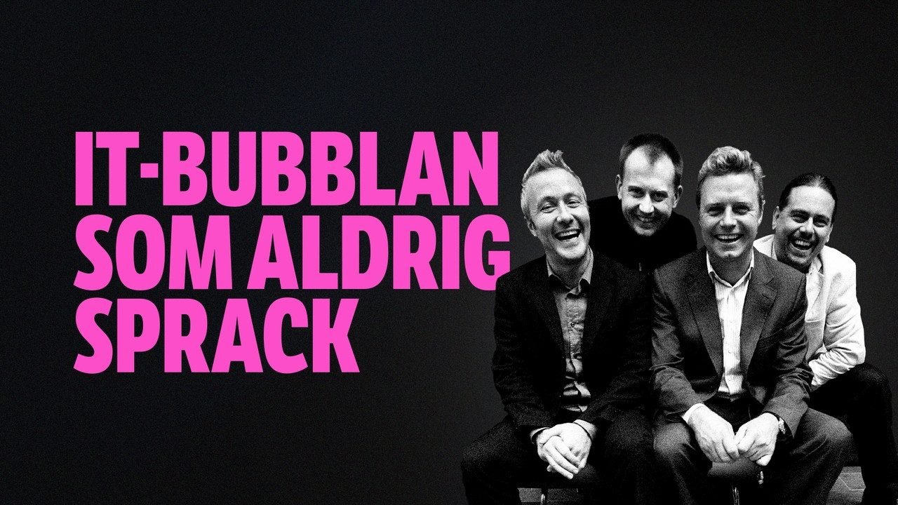 IT-bubblan som aldrig sprack - 剧照