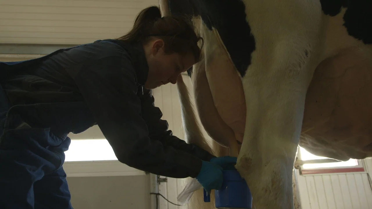 Le plancher des vaches - 剧照