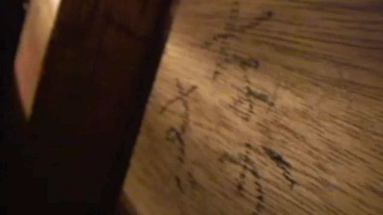 封印映像14 猫塚の呪い - 剧照