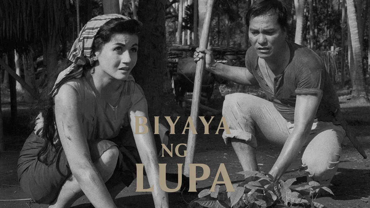 Biyaya ng Lupa - 剧照