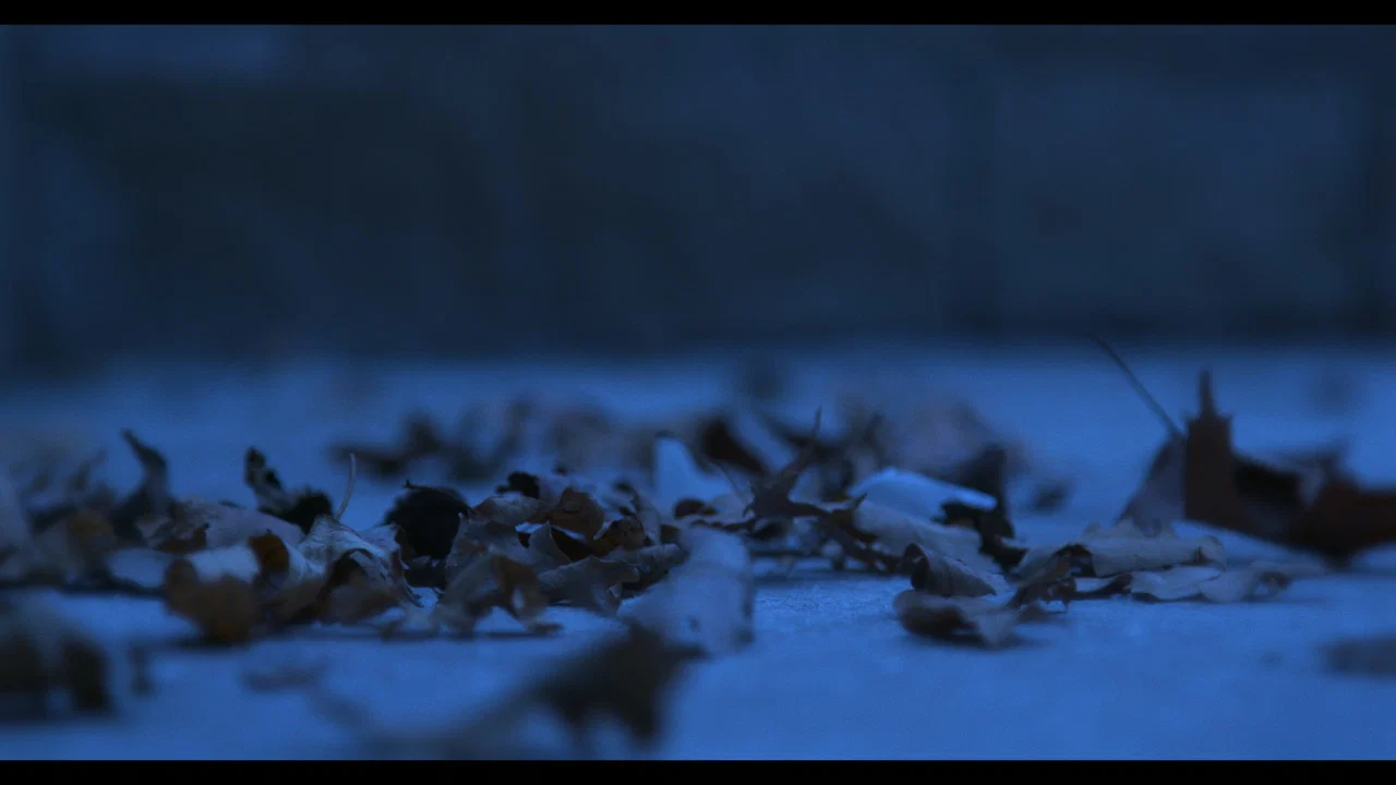 Blood Is Thicker Than Water - 剧照