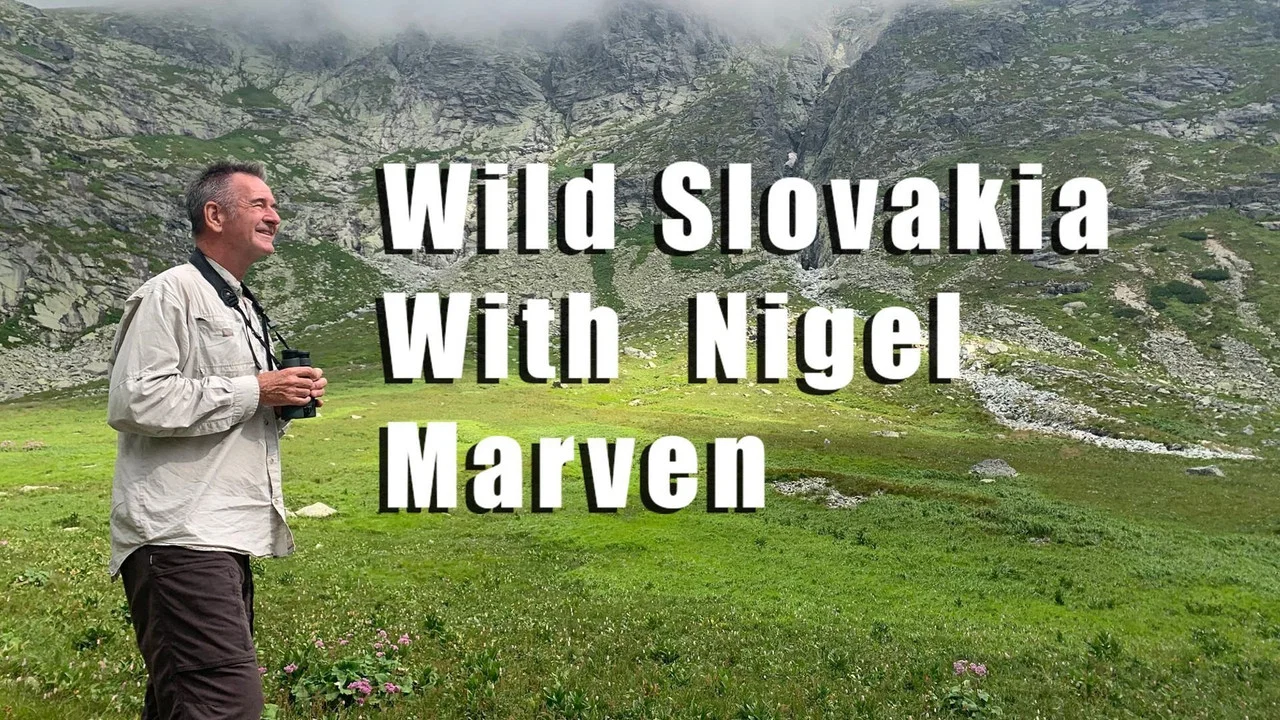 Divok&aacute; pr&iacute;roda Slovenska s Nigelom Marvenom - 剧照