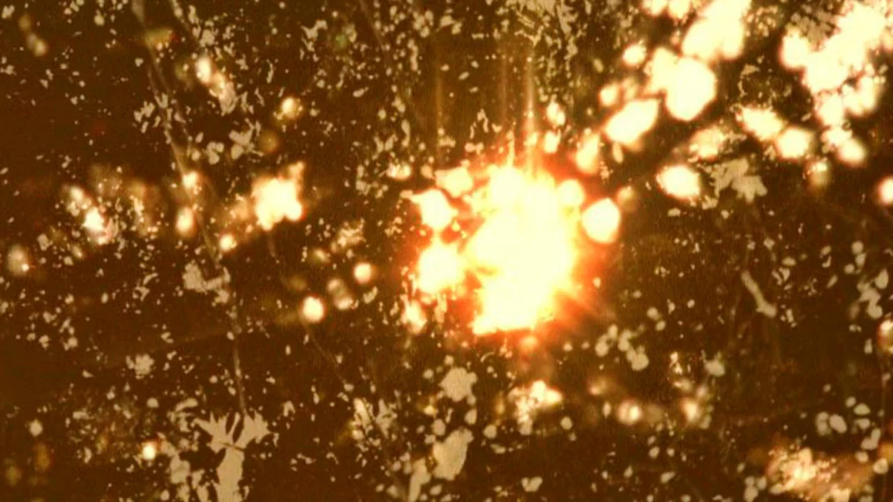 Elements of Nothing - 剧照