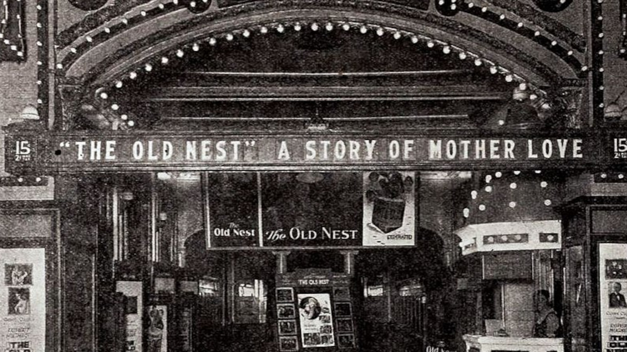 The Old Nest - 剧照