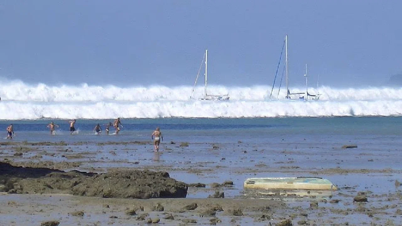 Tsunami: Caught on Camera - 剧照