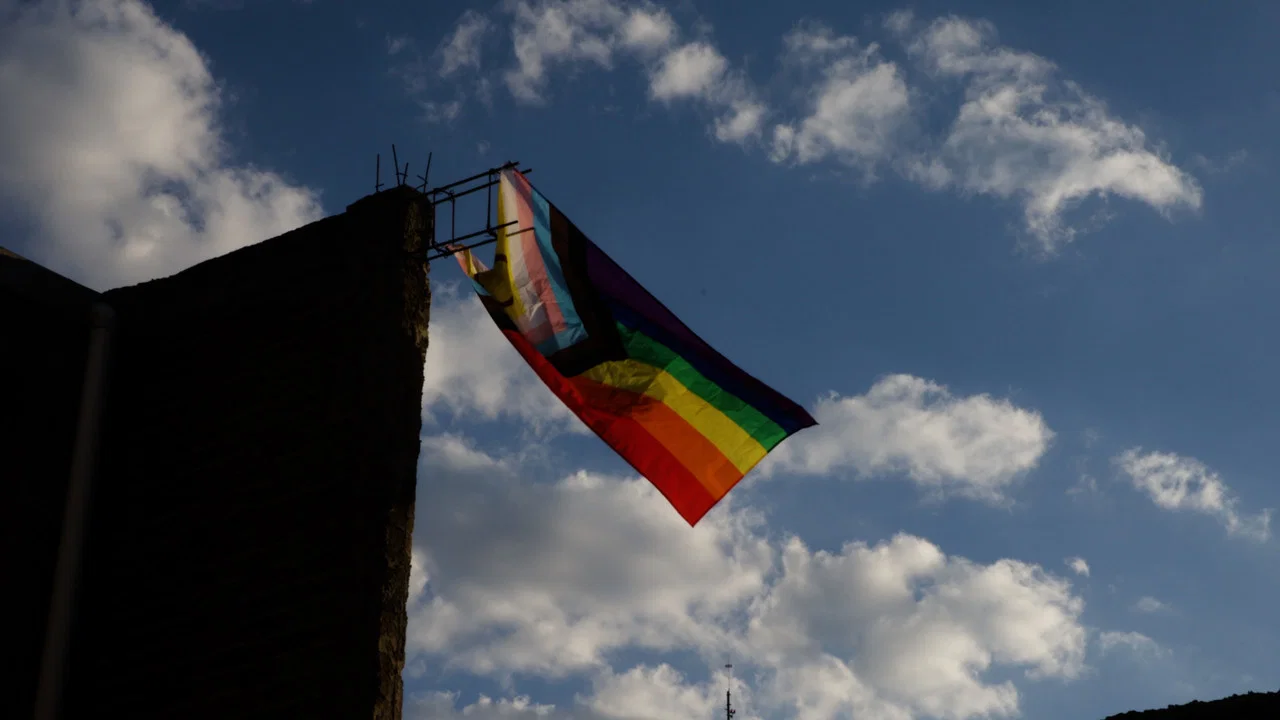 Guanajuato: Disidencias y diversidad - 剧照