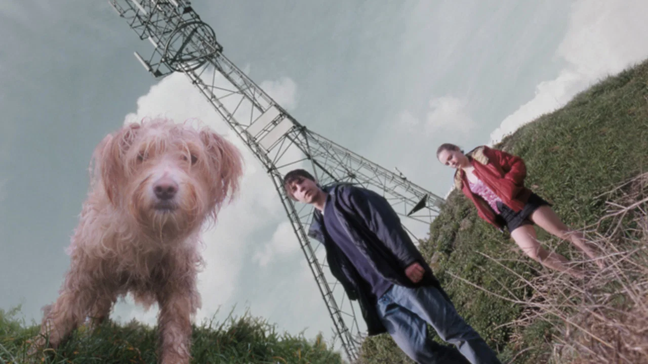 Dog - 剧照