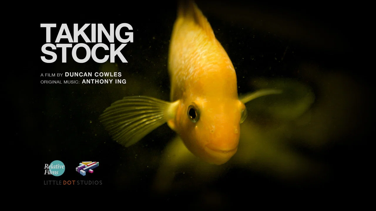 Taking Stock - 剧照