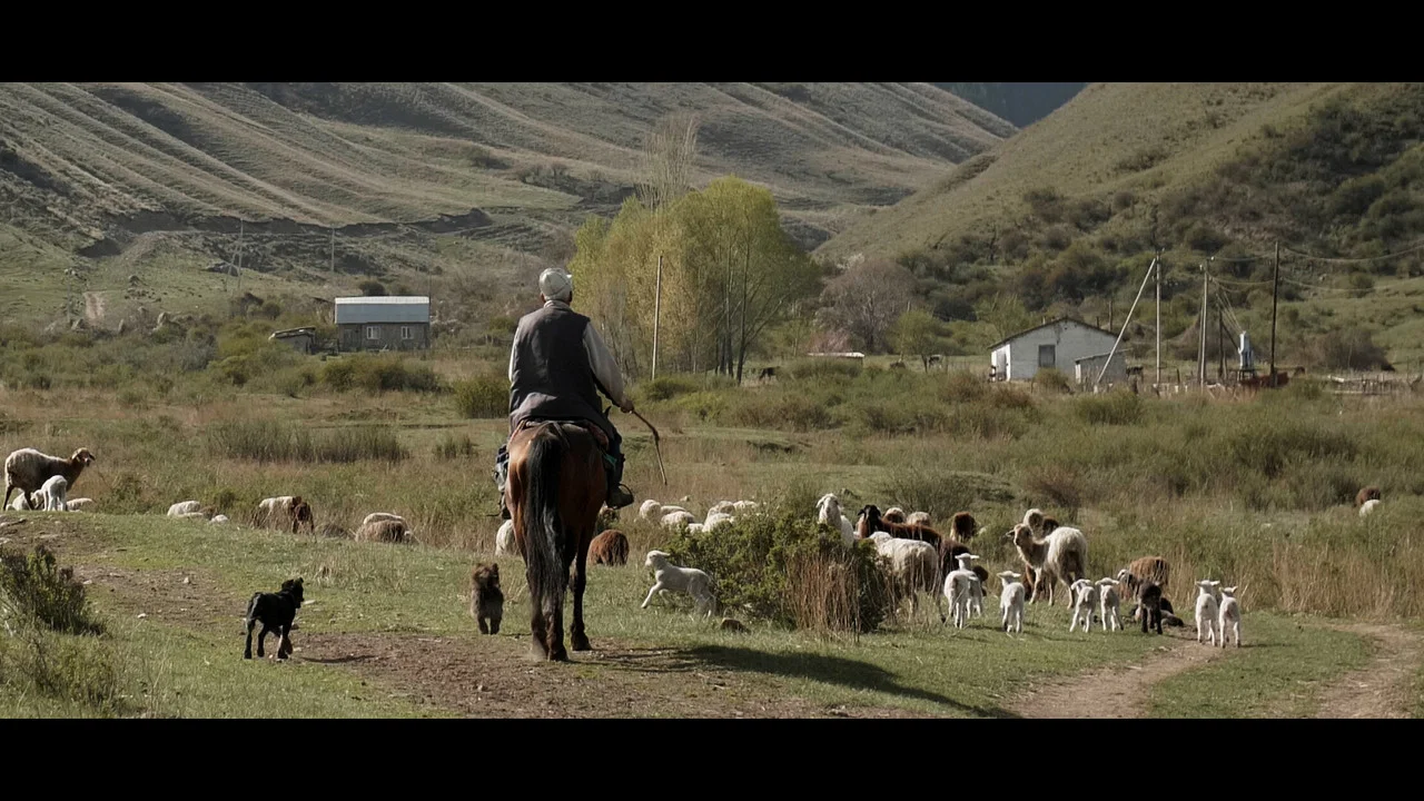 Wings of Kyrgyzstan - 剧照