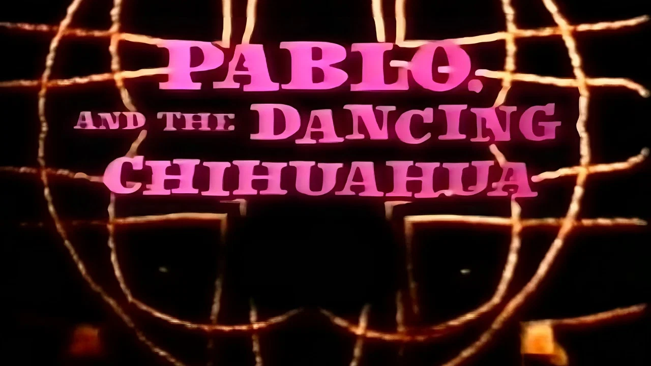Pablo and the Dancing Chihuahua - 剧照
