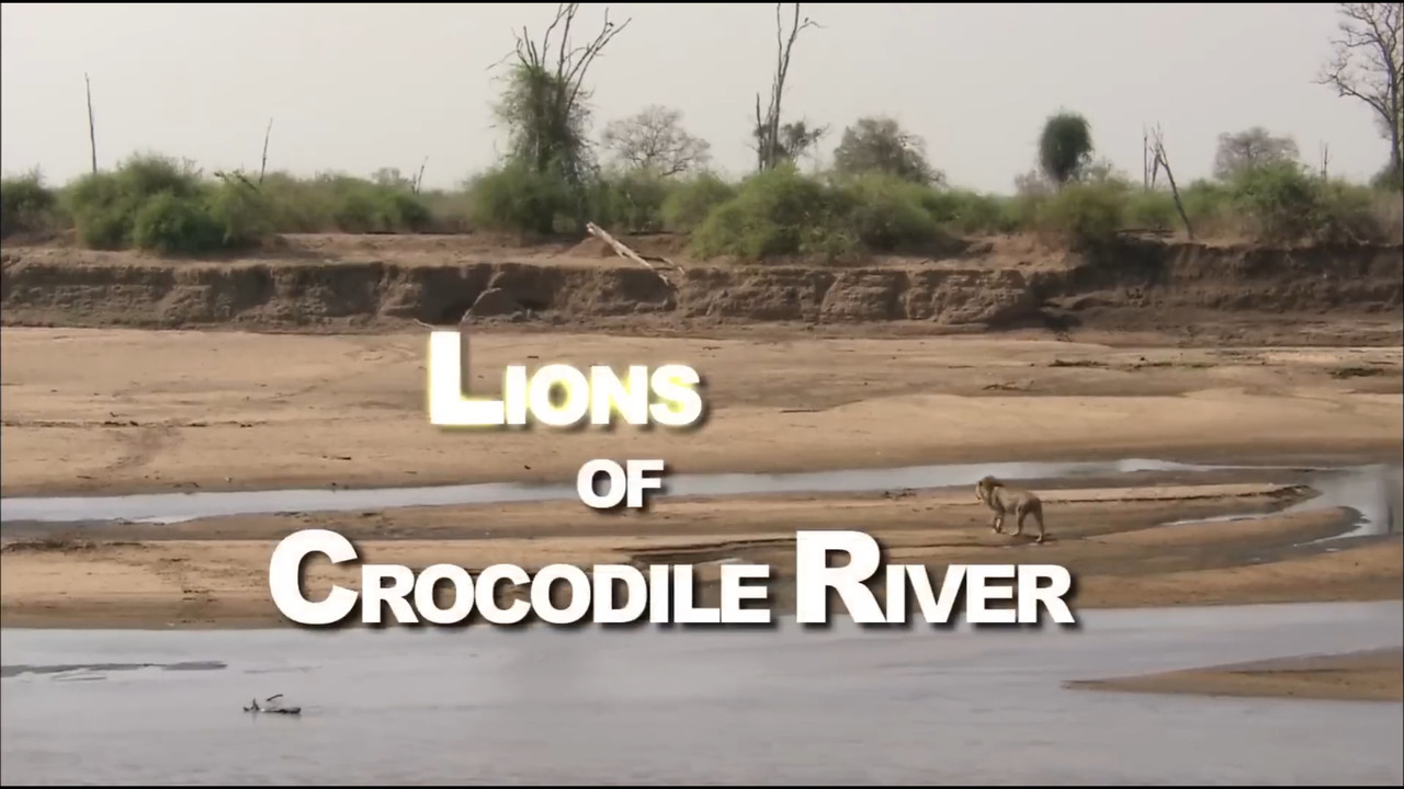 Lions of Crocodile River - 剧照