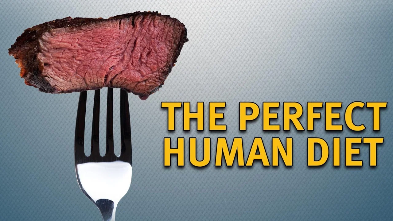 The Perfect Human Diet - 剧照