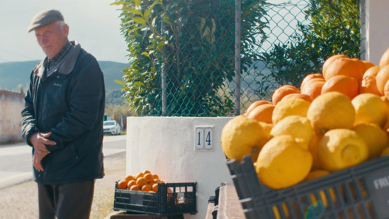 O Tempo De Comer Uma Laranja - 剧照
