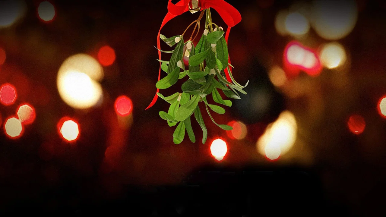 Under the Mistletoe - 剧照