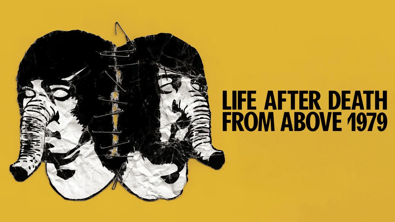 Life After Death from Above 1979 - 剧照