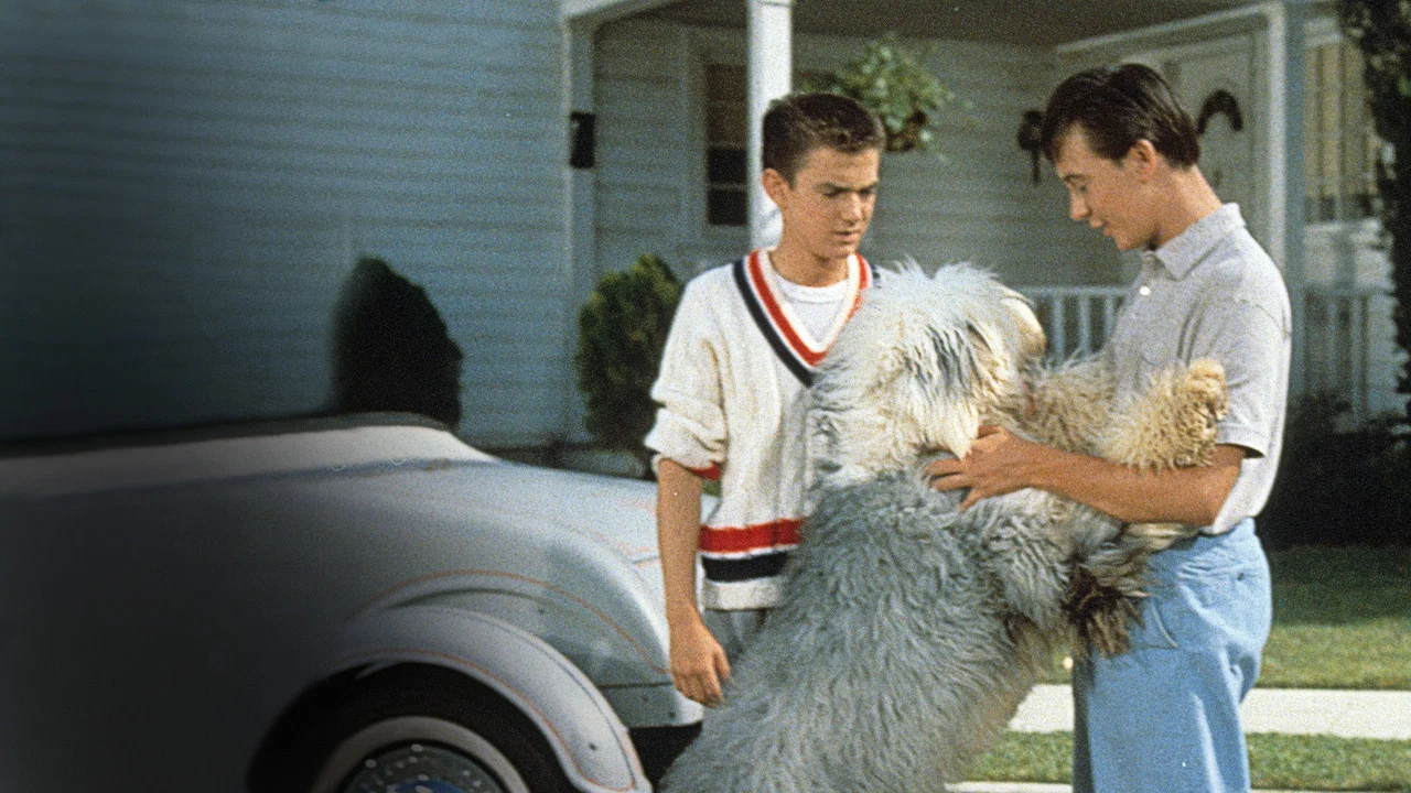 The Shaggy Dog - 剧照