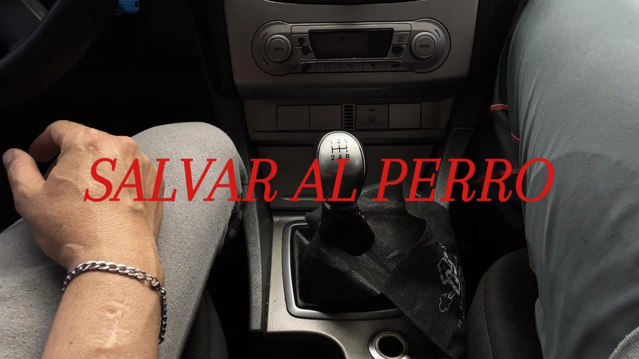 Salvar al Perro - 剧照