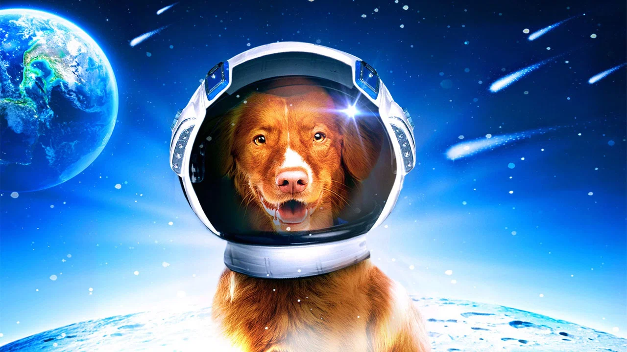 My Dog the Space Traveler - 剧照