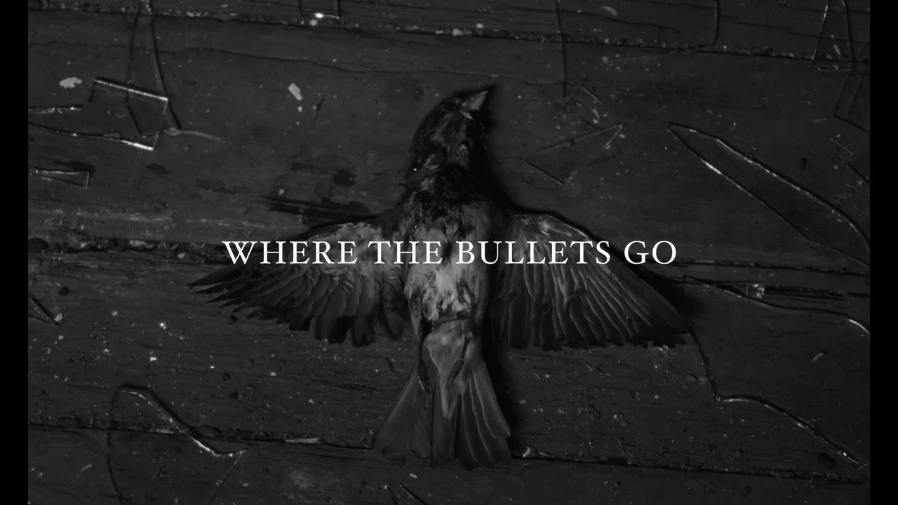 Where the Bullets Go - 剧照