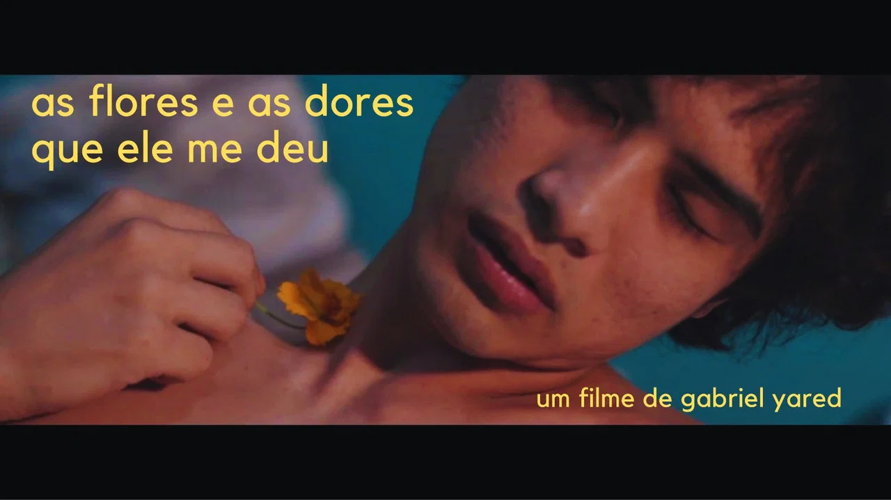 as flores e as dores que ele me deu - 剧照