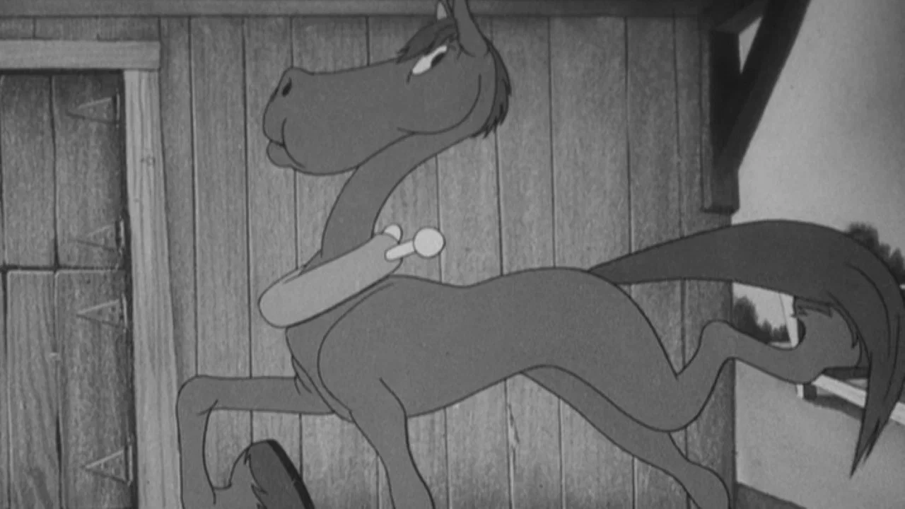 Porky's Prize Pony - 剧照