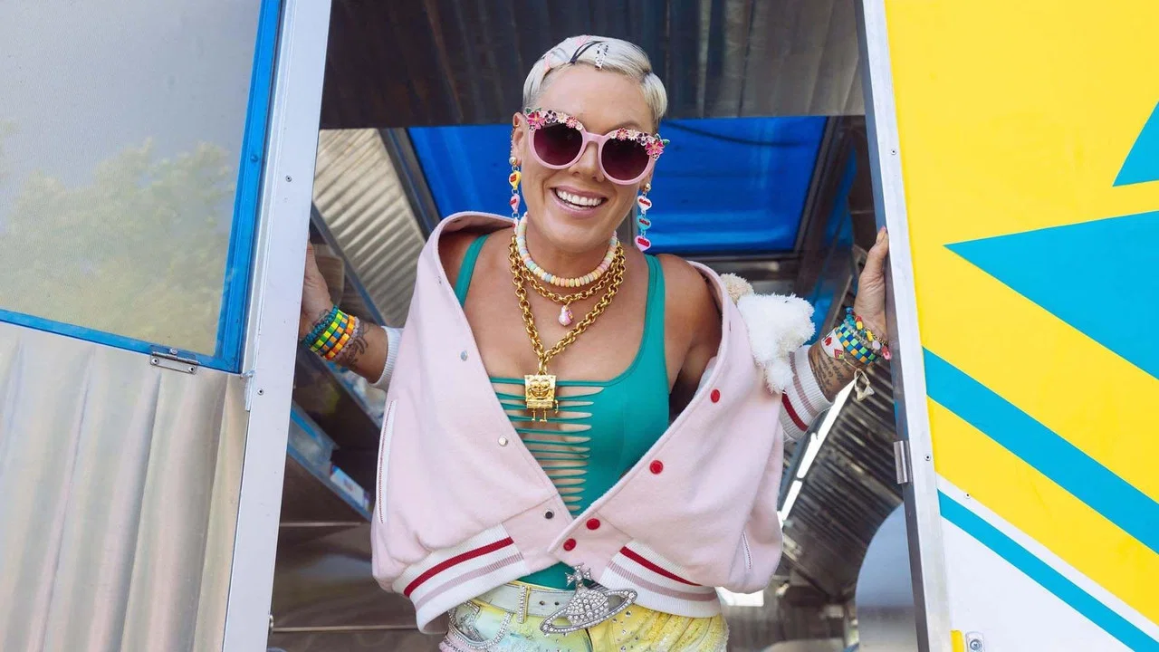 P!NK: Mein Leben in Songs - 剧照
