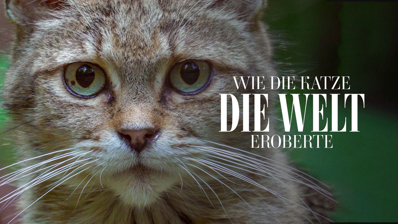 Comment le chat a conquis le monde - 剧照