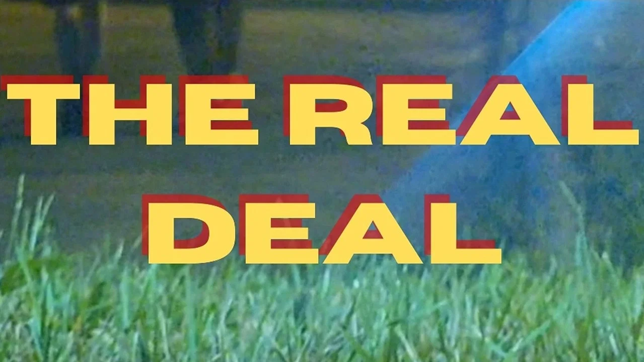The Real Deal - 剧照
