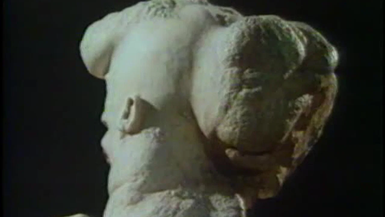 The Skin Horse - 剧照
