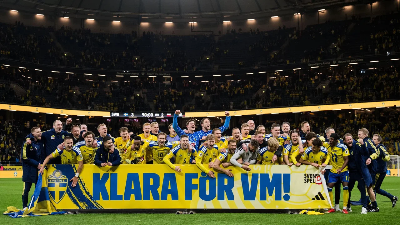 Dr&ouml;mmen om VM &ndash; inifr&aring;n herrlandslagets playoff - 剧照