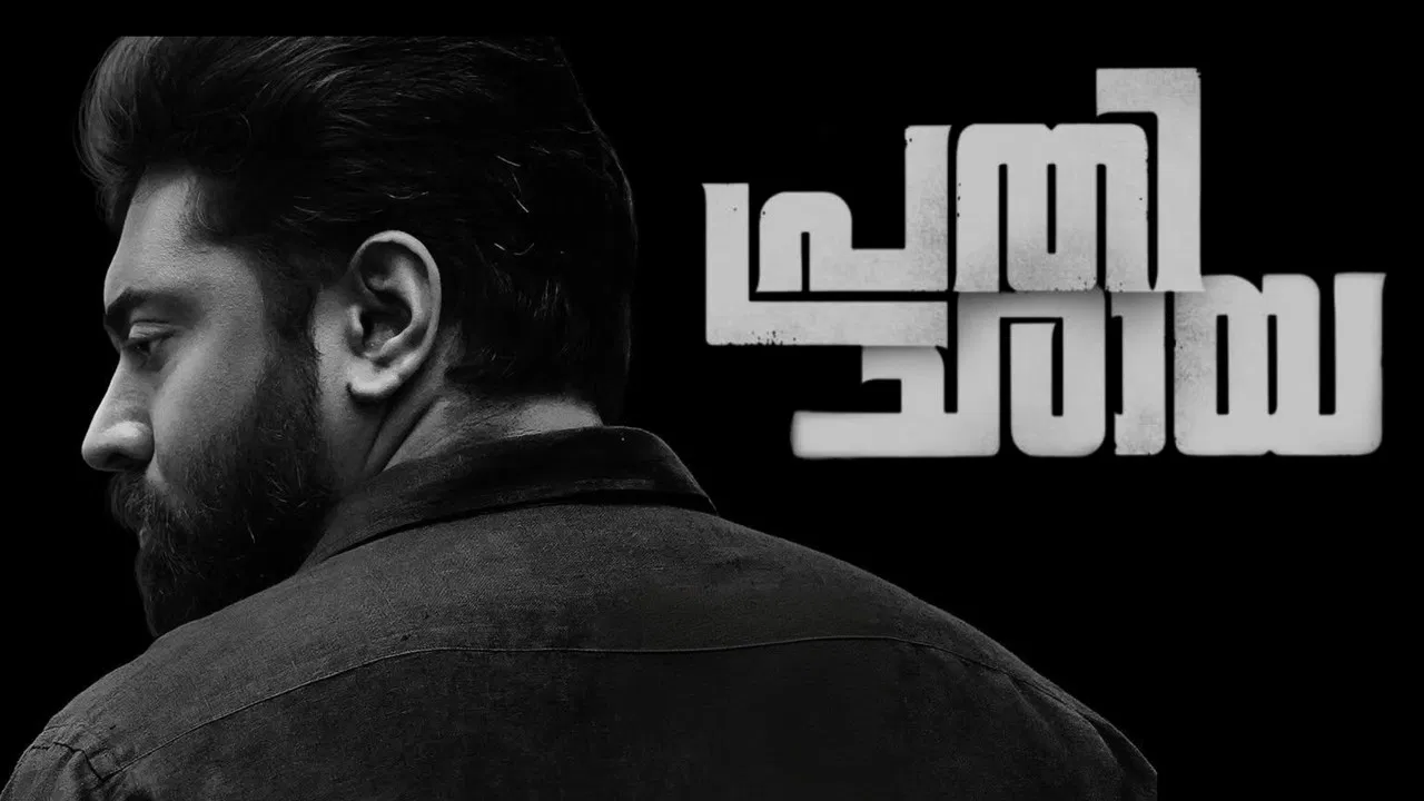 പ്രതിഛായ - 剧照