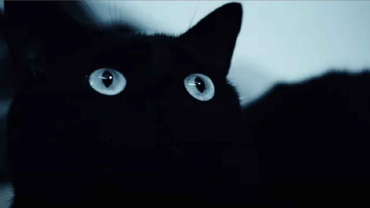 Alice Was My Name - 剧照