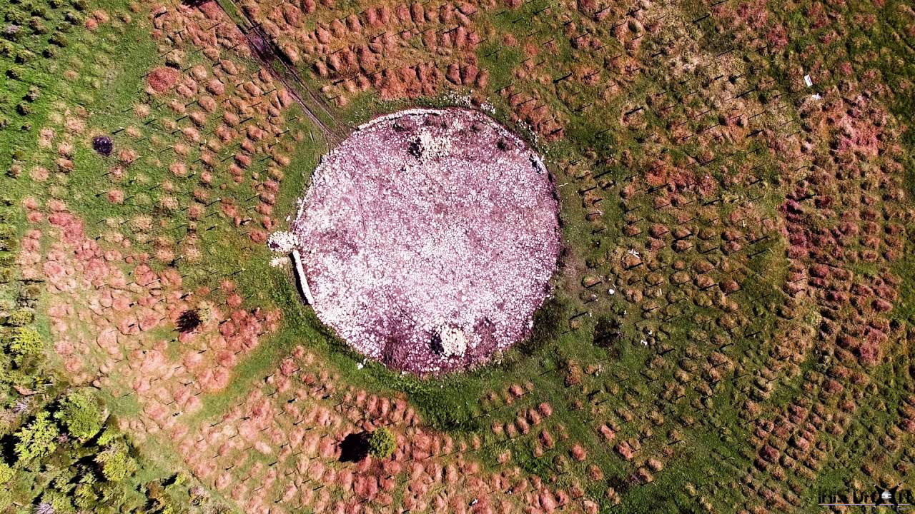 悲凉山掘墓记 - 剧照