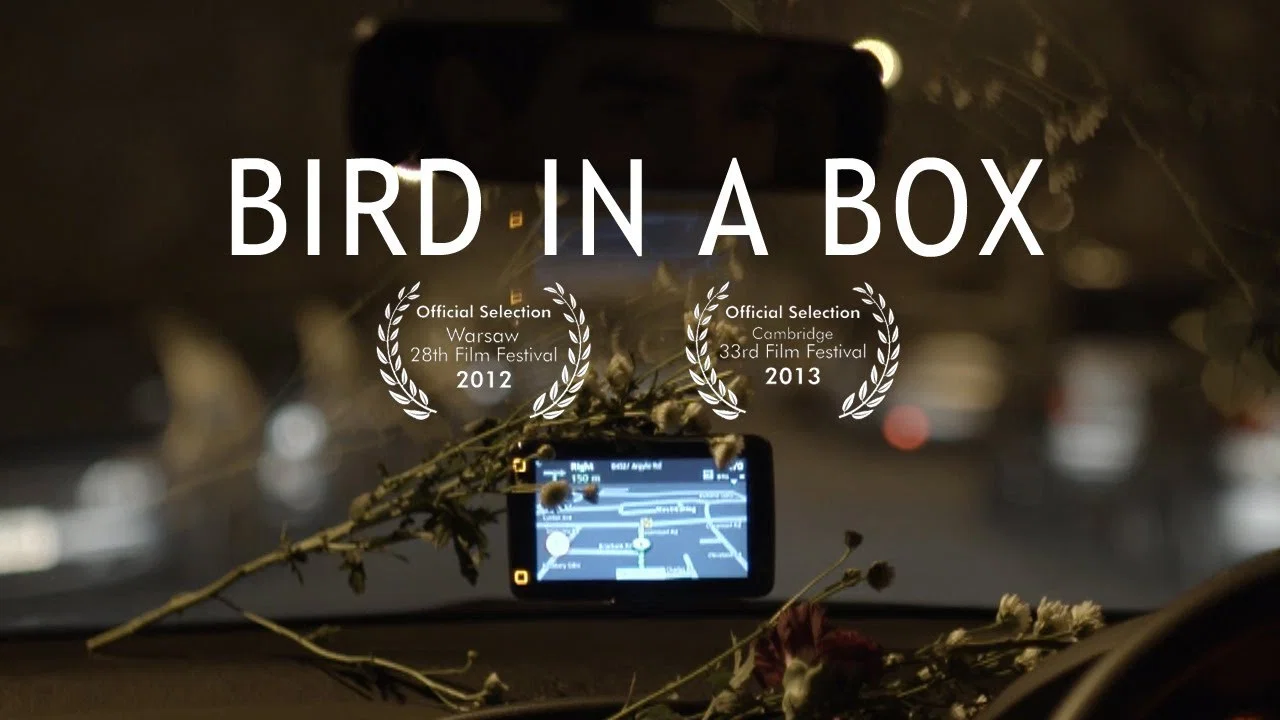 Bird in a Box - 剧照