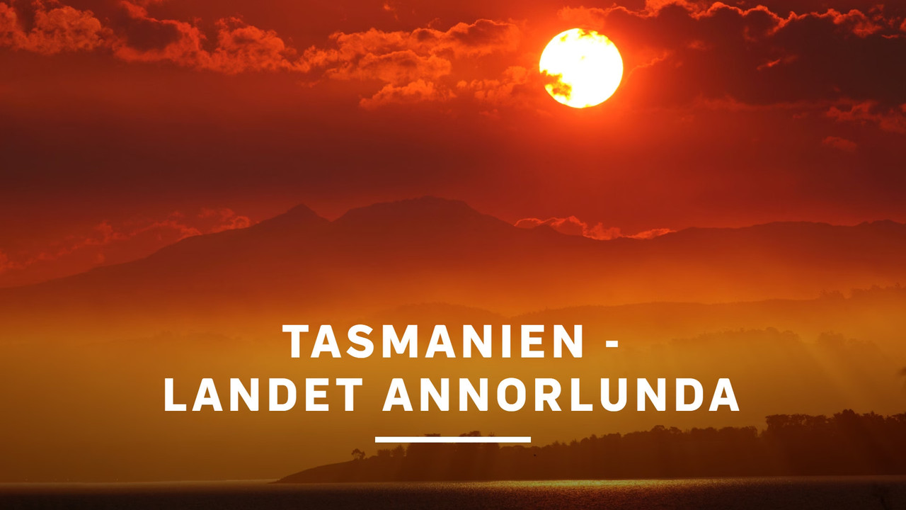 David Attenborough's Tasmania - 剧照