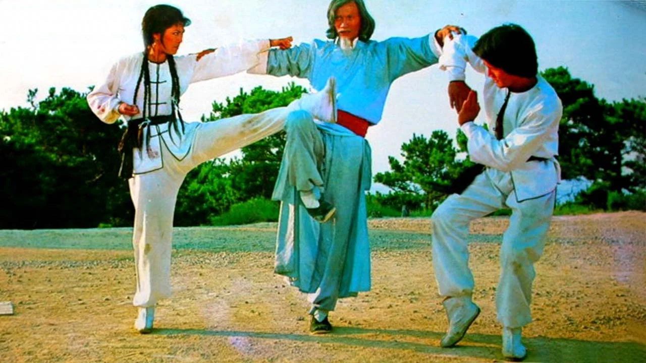 Twins of Kung Fu - 剧照