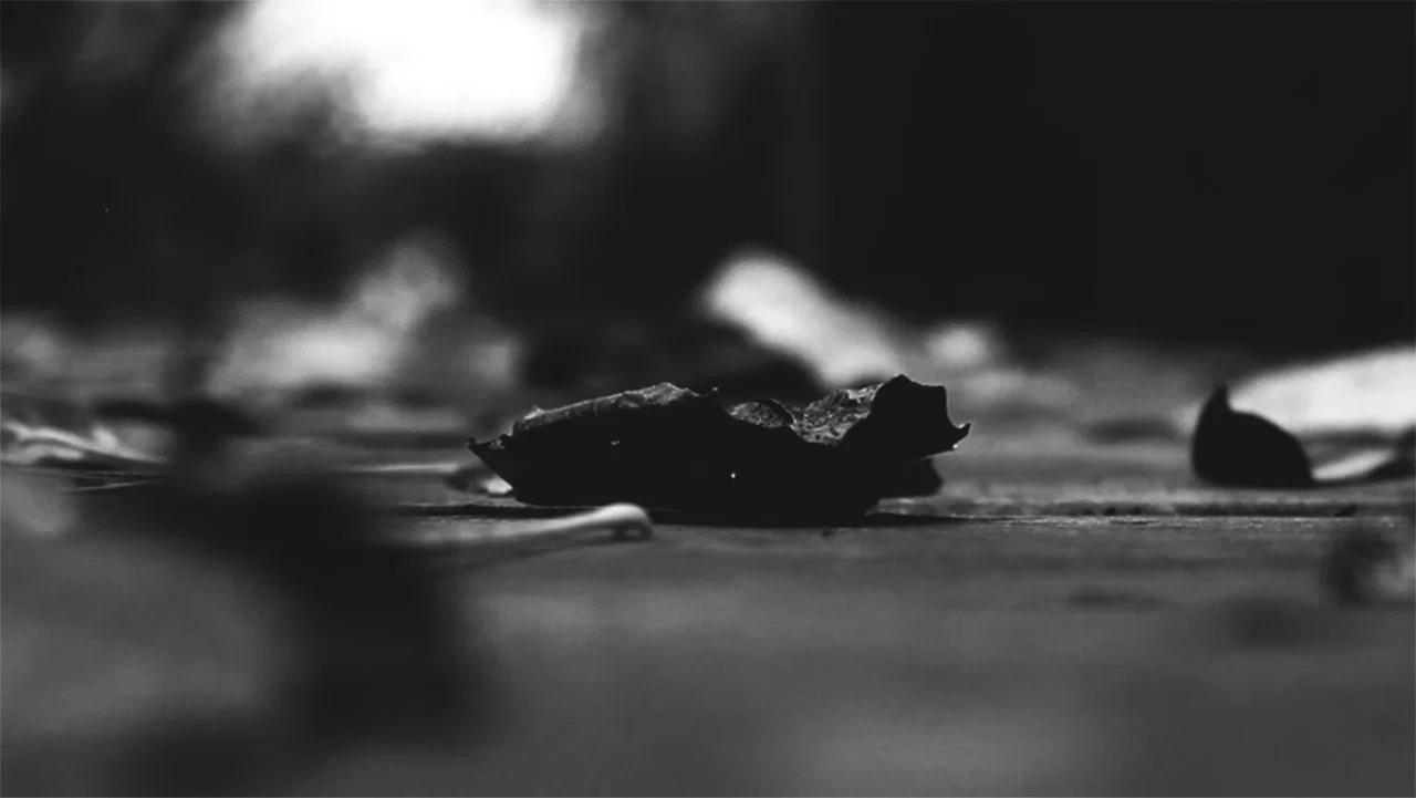 The pulse of everything from where we arose and departed - 剧照