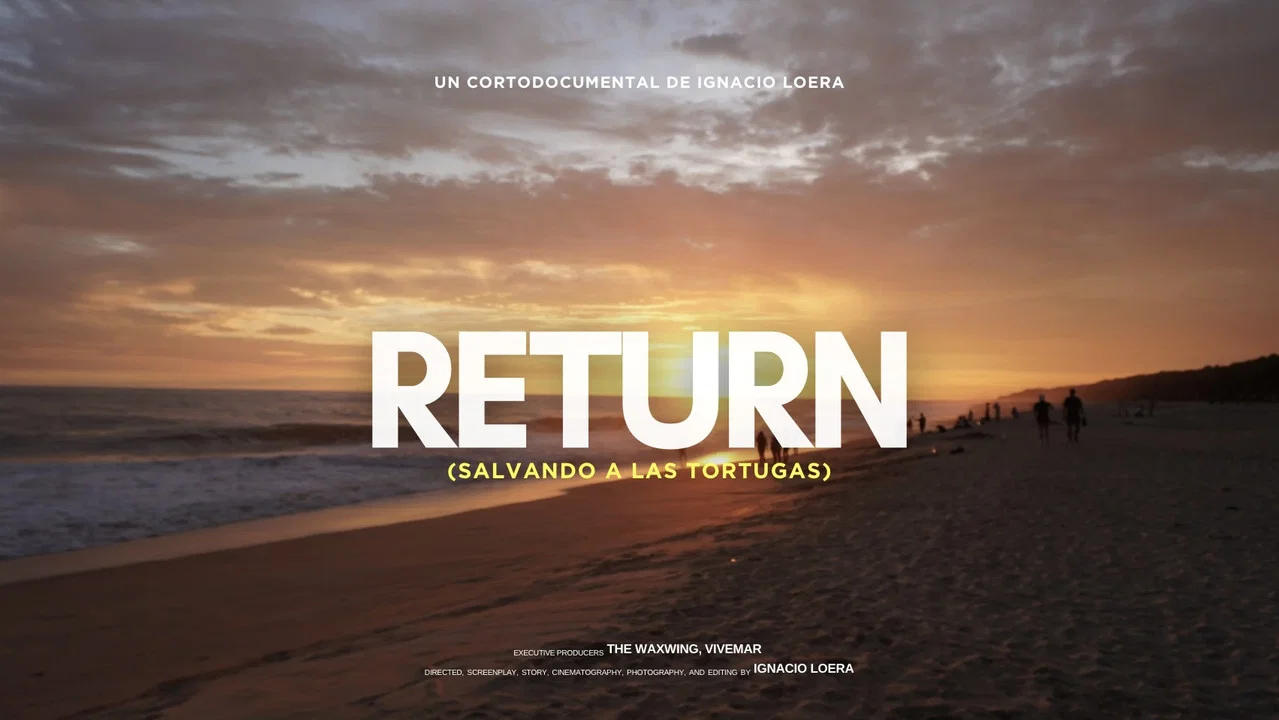 Return: Salvando a las Tortugas - 剧照