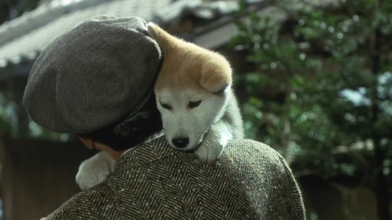 忠犬八公物语 - 剧照